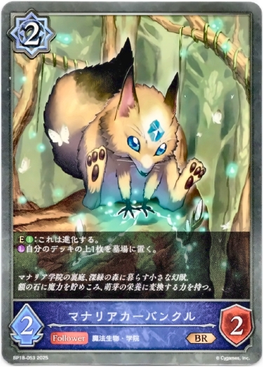 画像1: マナリアカーバンクル (1)