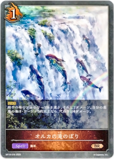 画像1: オルカの滝のぼり (1)