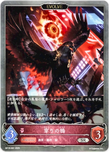 画像1: 【EVOLVE】穿りの鴉 (1)