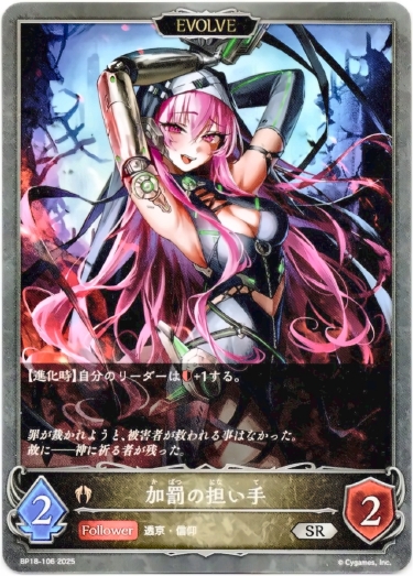 画像1: 【EVOLVE】加罰の担い手 (1)