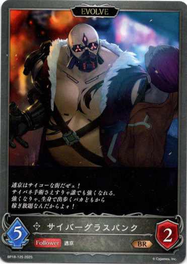 画像1: 【EVOLVE】サイバーグラスパンク (1)