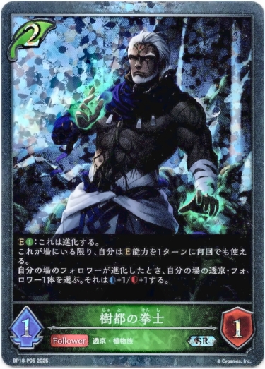 画像1: 【プレミアム】樹都の拳士 (1)