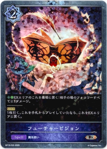 画像1: 【プレミアム】フューチャービジョン (1)