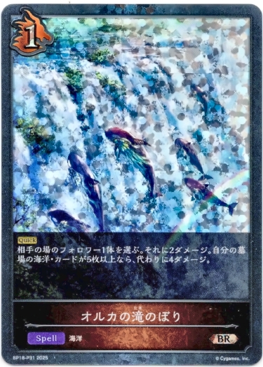 画像1: 【プレミアム】オルカの滝のぼり (1)