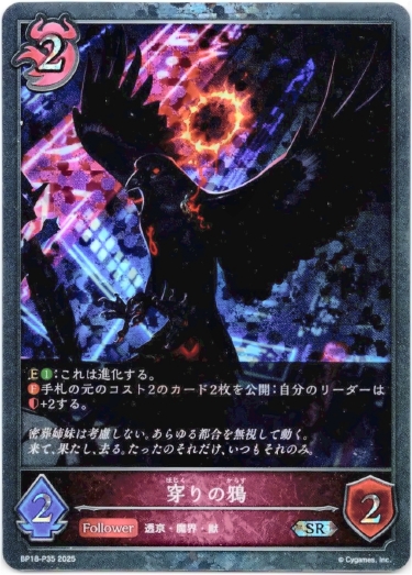 画像1: 【プレミアム】穿りの鴉 (1)