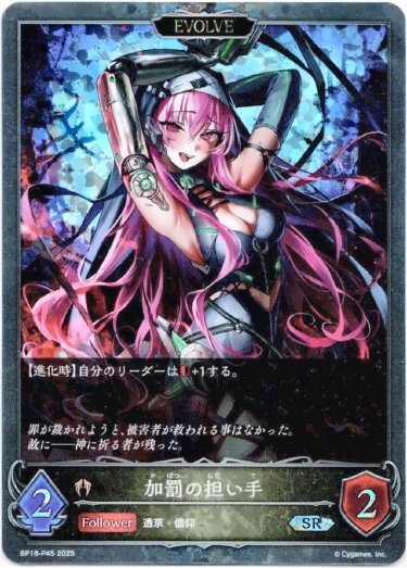 画像1: 【プレミアム】【EVOLVE】加罰の担い手 (1)