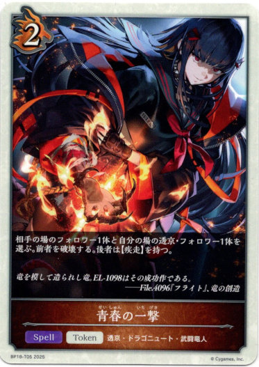 画像1: 【ドラゴン】青春の一撃 (1)