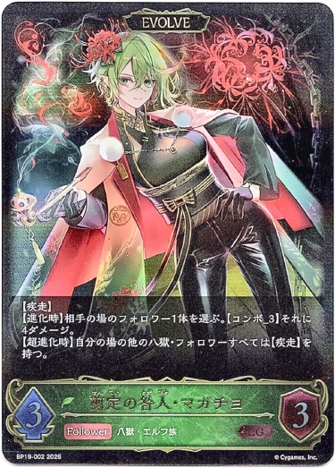 画像1: 【EVOLVE】剪定の咎人・マガチヨ (1)