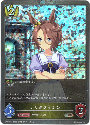 画像1: 【プレミアム】ナリタタイシン (1)