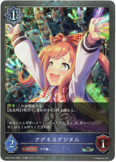 画像1: 【プレミアム】アグネスデジタル (1)