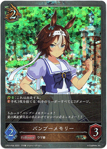 画像1: 【プレミアム】バンブーメモリー (1)