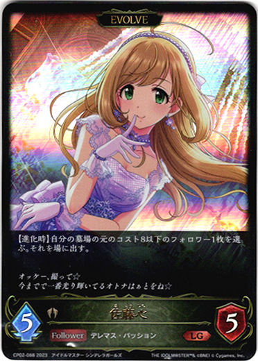 画像1: 【EVOLVE】佐藤心 (1)