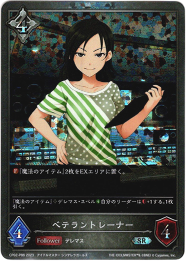 画像1: 【プレミアム】ベテラントレーナー (1)