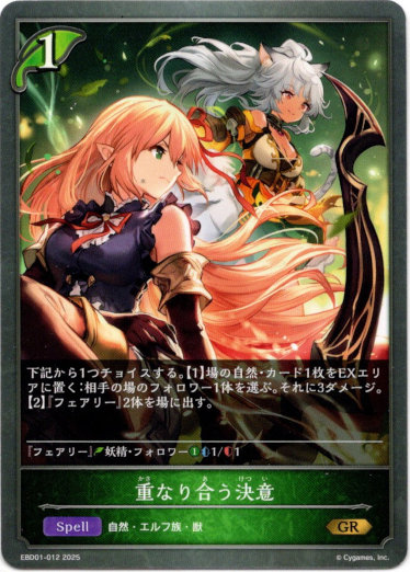 画像1: 重なり合う決意 (1)