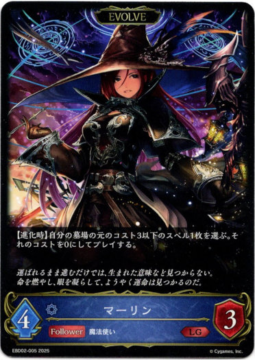 画像1: 【EVOLVE】マーリン (1)