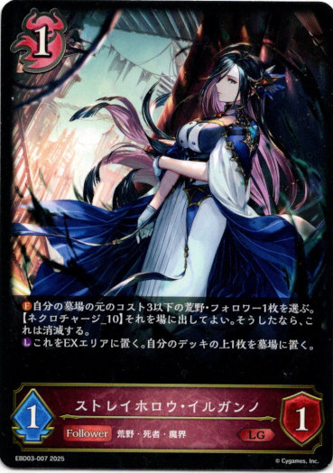 画像1: ストレイホロウ・イルガンノ (1)