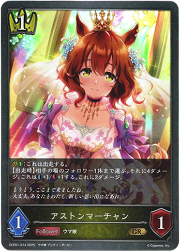 画像1: アストンマーチャン (1)