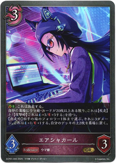 画像1: エアシャカール (1)