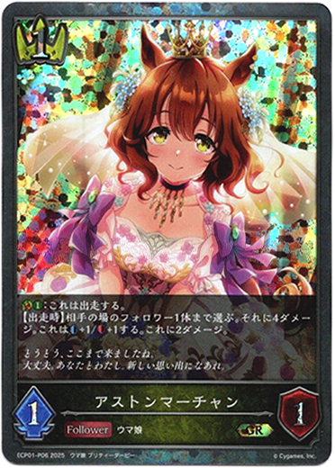 画像1: 【プレミアム】アストンマーチャン (1)