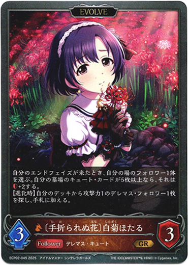 画像1: 【EVOLVE】〔手折られぬ花〕白菊ほたる (1)