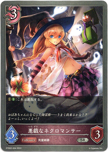 画像1: 悪戯なネクロマンサー (1)