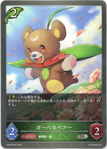 画像1: ガーベラベアー (1)