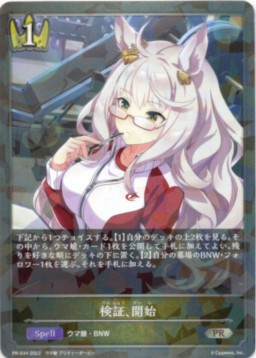 画像1: 検証、開始 (1)