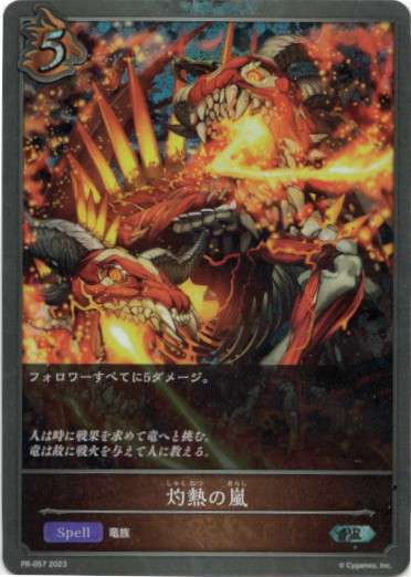 画像1: 【プレミアム】灼熱の嵐 (1)