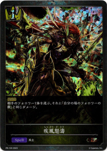 画像1: 【プレミアム】疾風怒濤 (1)