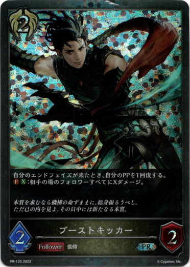 画像1: 【プレミアム】ブーストキッカー (1)