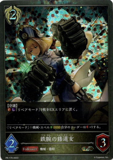 画像1: 【プレミアム】鉄腕の修道女 (1)