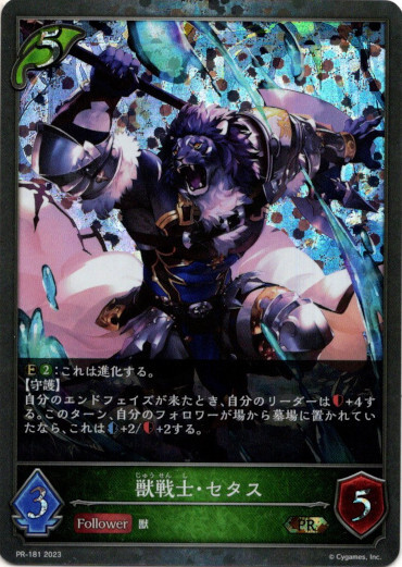 画像1: 【PR】獣戦士・セタス (1)