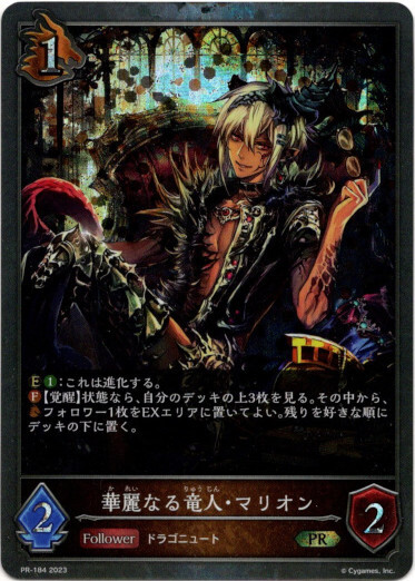 画像1: 【PR】華麗なる竜人・マリオン (1)