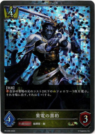 画像1: 【PR】紫電の黒豹 (1)