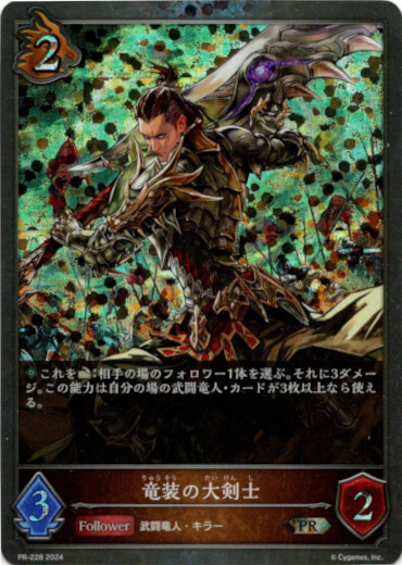 画像1: 【PR】竜装の大剣士 (1)