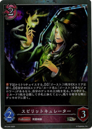 画像1: 【PR】スピリットキュレーター (1)