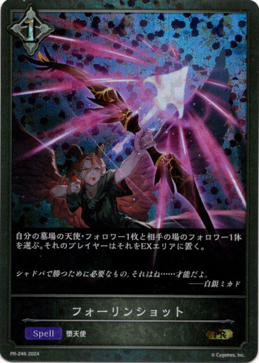 画像1: 【PR】フォーリンショット (1)