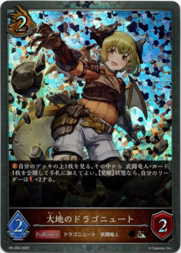 画像1: 【PR】大地のドラゴニュート (1)