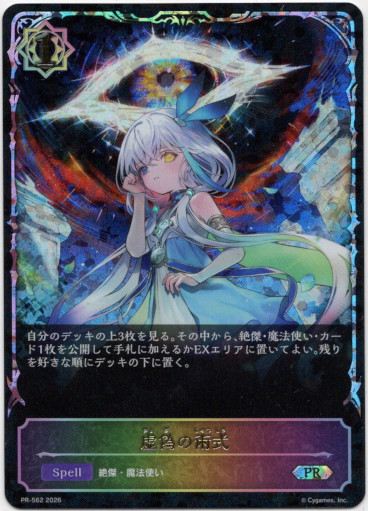 画像1: 【PR】【SL仕様】虚偽の術式 (1)