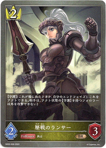 画像1: 歴戦のランサー (1)