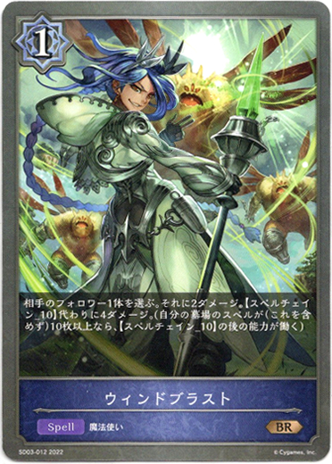 画像1: ウインドブラスト (1)