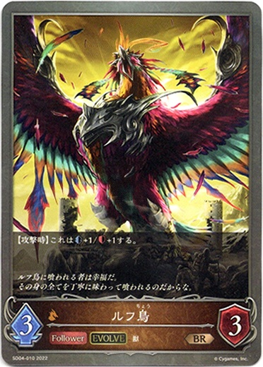 画像1: 【EVOLVE】ルフ鳥 (1)