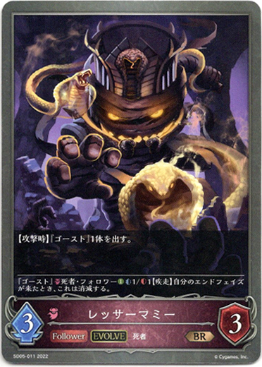 画像1: 【EVOLVE】レッサーマミー (1)