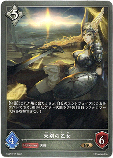 画像1: 天剣の乙女 (1)