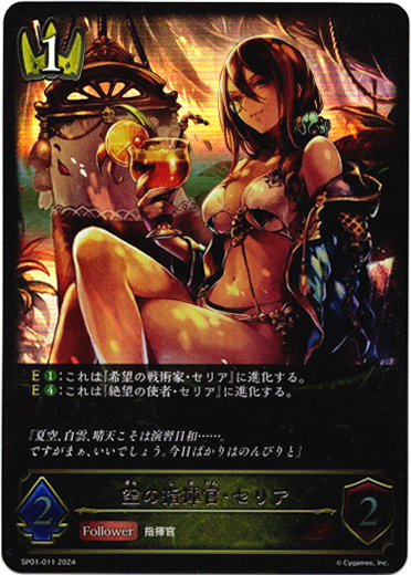 画像1: 空の指揮官・セリア (1)