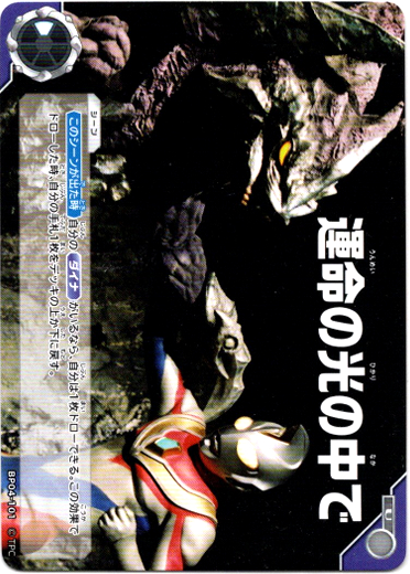 画像1: 運命の光の中で (1)